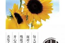 周笔畅 - 二手歌歌词