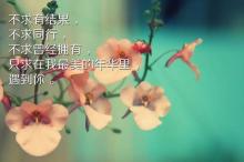 晚安心语霸气正能量一句话