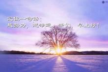 我的快乐就是想你歌词:夏天走了菊花开了