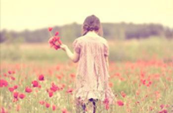 他还是不懂 歌词